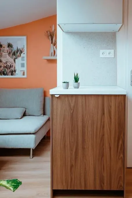 Le Nid Douillet De L'Hypercentre Apartment Toulouse