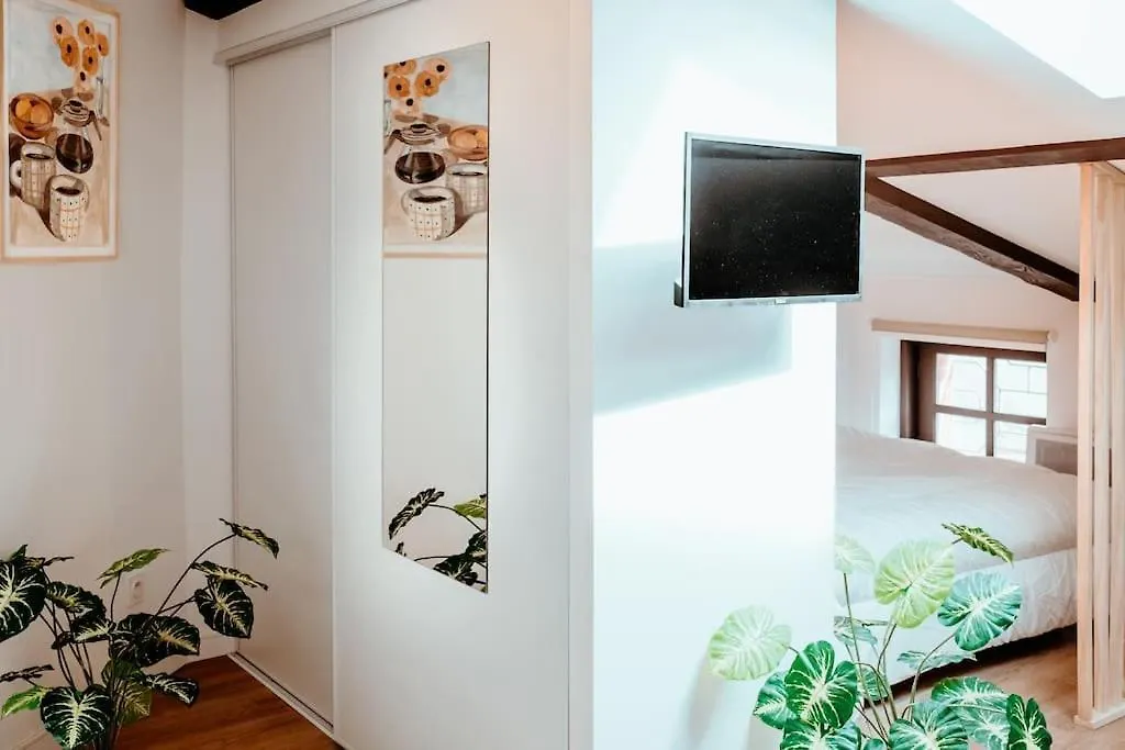 Le Nid Douillet De L'Hypercentre Apartment Toulouse France