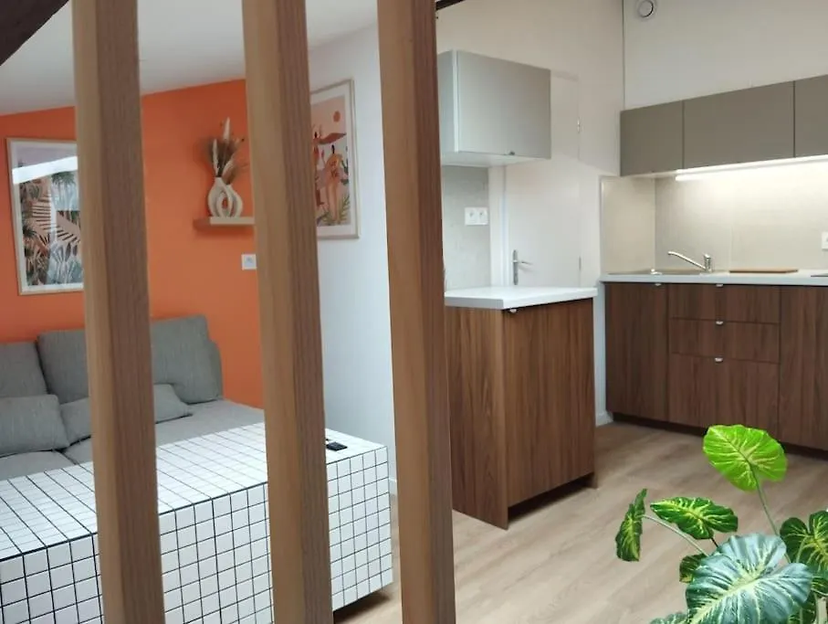 Le Nid Douillet De L'Hypercentre Apartment Toulouse