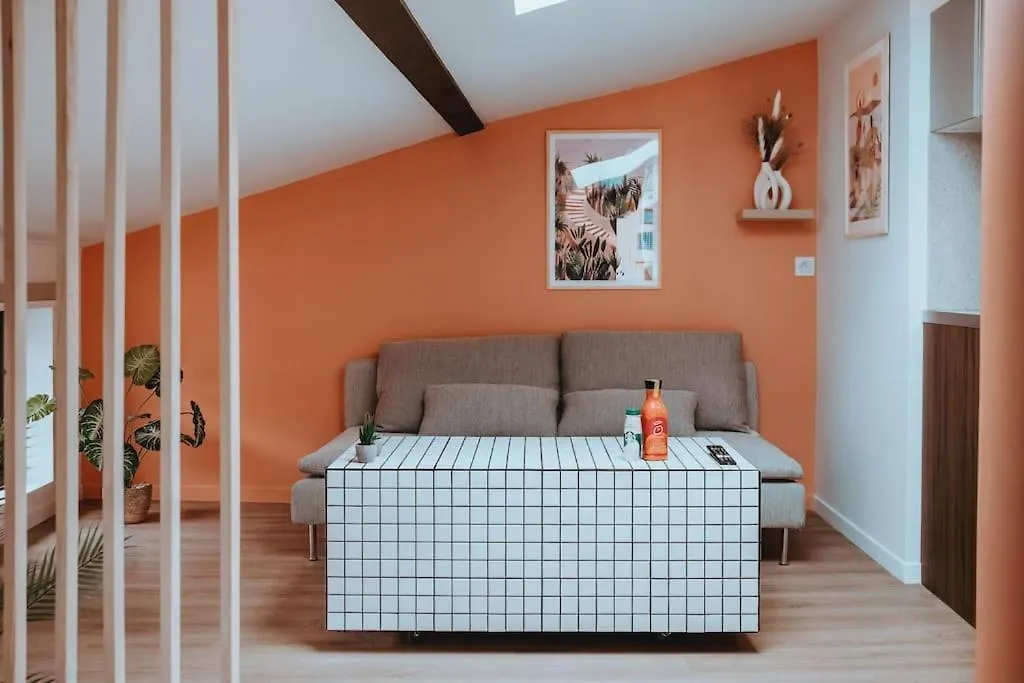 Le Nid Douillet De L'Hypercentre Apartment Toulouse France